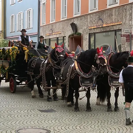 Apartmán Silberwurz