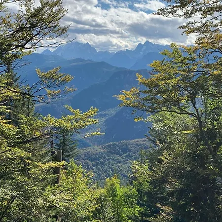 Apartmán Silberwurz *