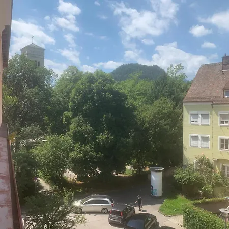 Silberwurz *