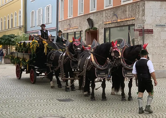 Apartamento Silberwurz